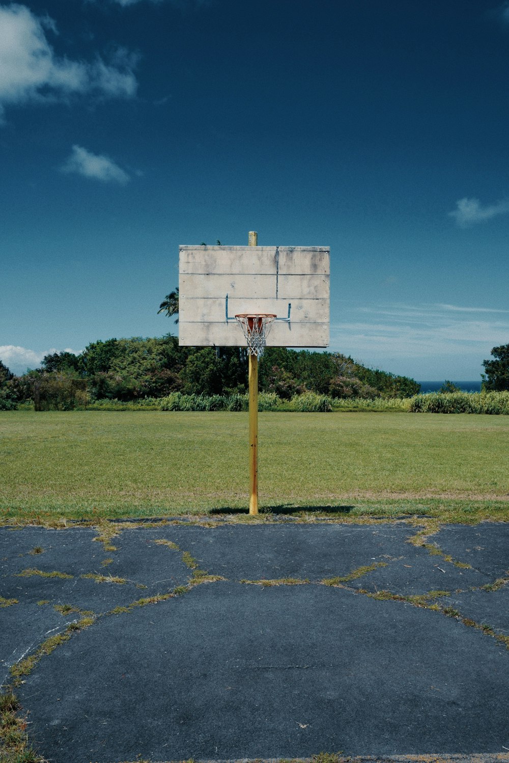 basketball hoop