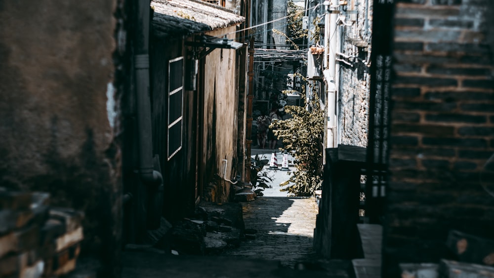 alley road between houses