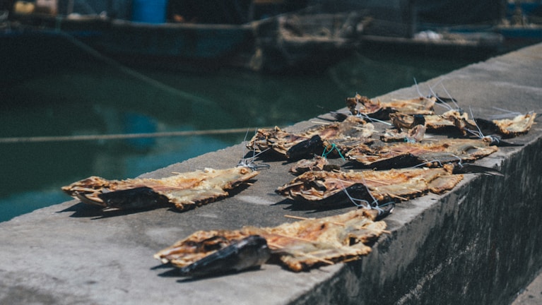 Several dried fish are laid out in a row on a concrete surface near what appears to be a body of water in a harbor or dock area. The fish are secured with strings. The background shows blurred boats and the water reflects a greenish hue.