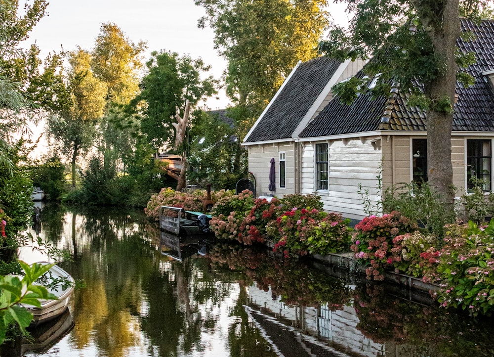 houses surrounded with flowers during daytime