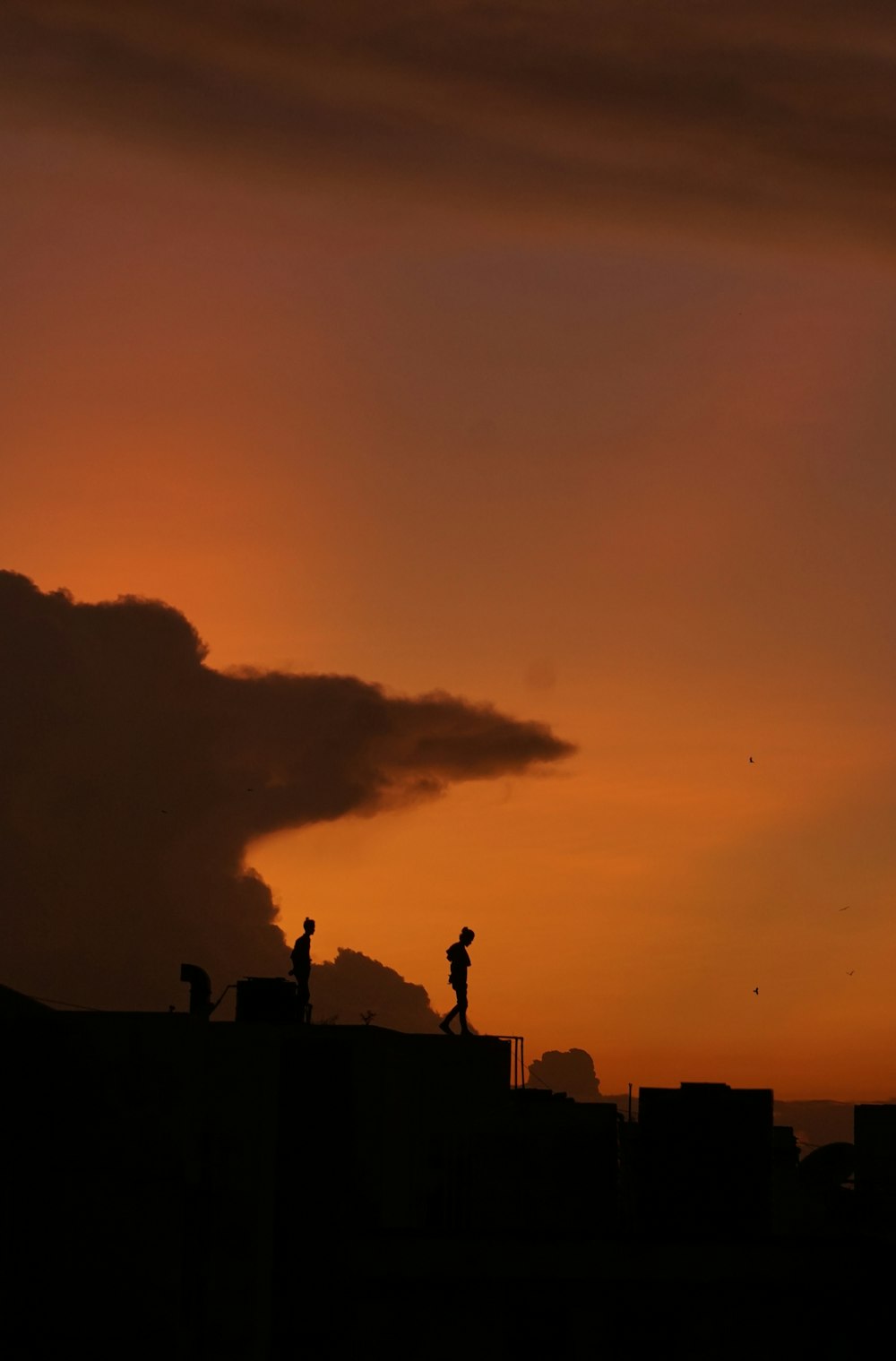 silhouette of people standing on rooftop