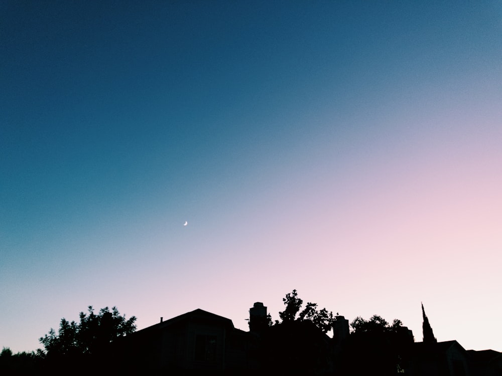 silhouette of house and trees under blue skies