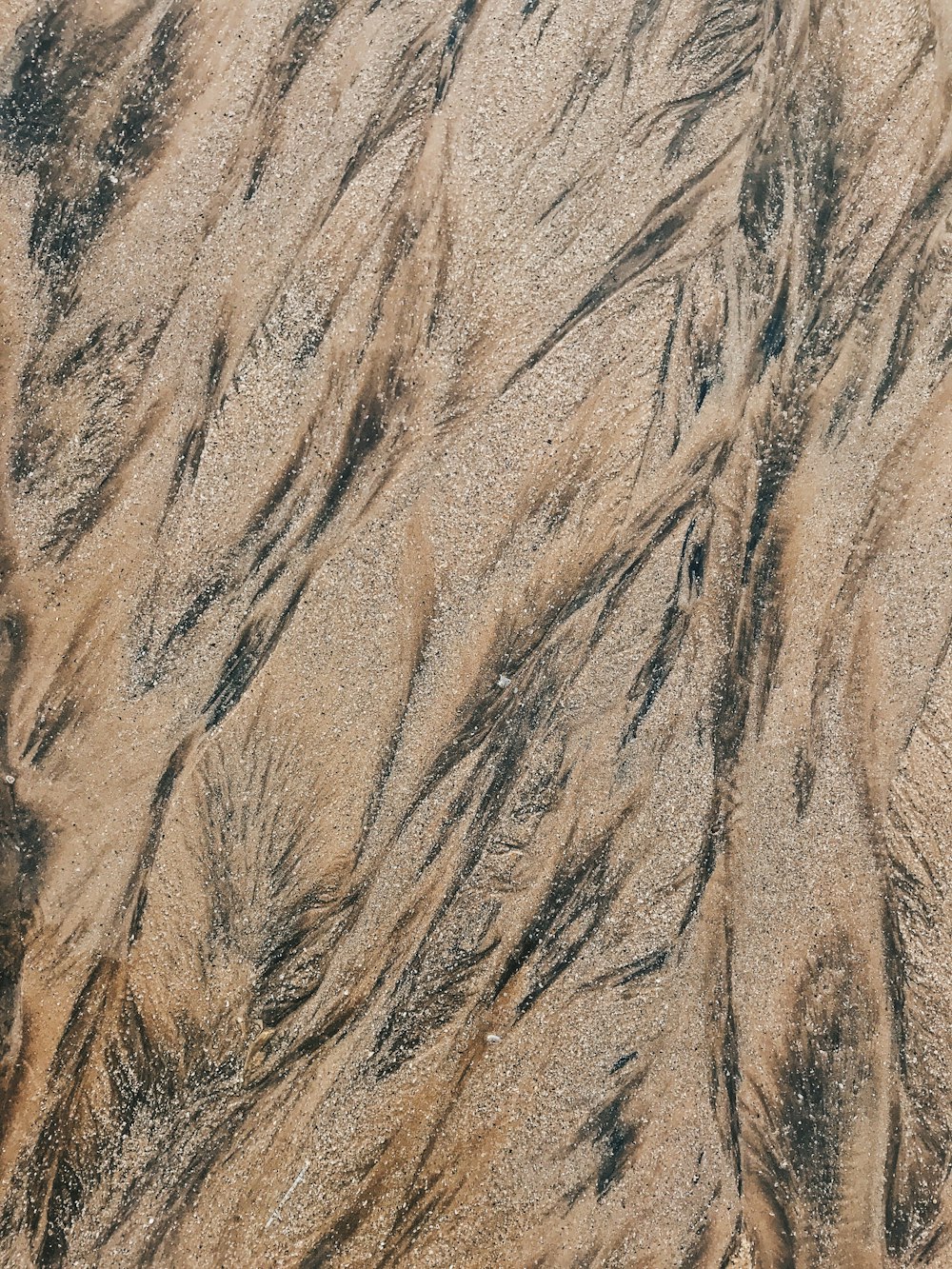 Eine Luftaufnahme eines Sandstrandes mit Wellen
