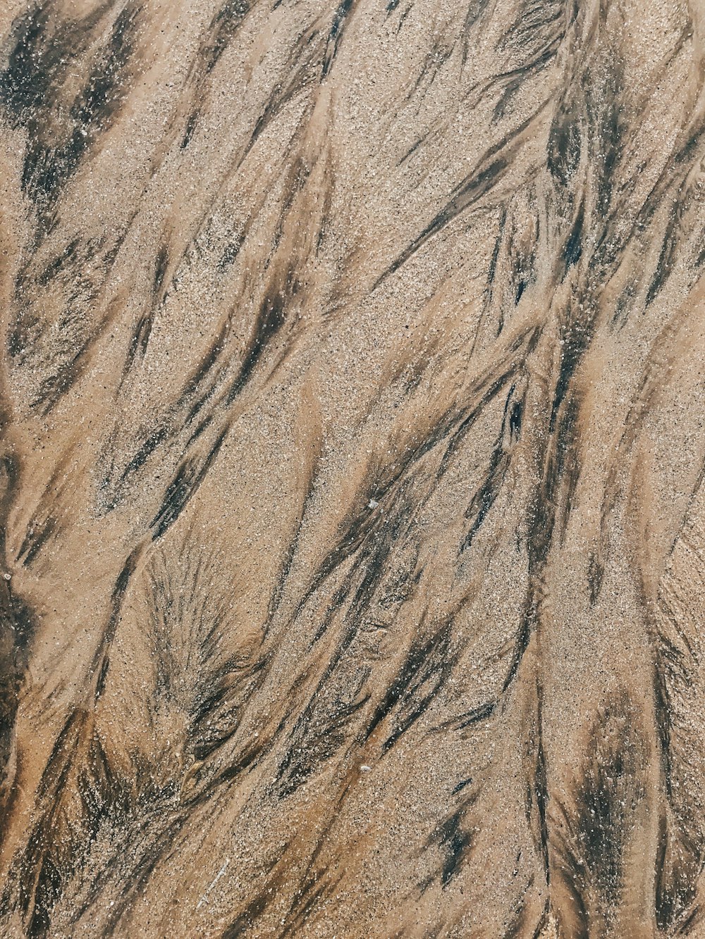 an aerial view of a sandy beach with waves