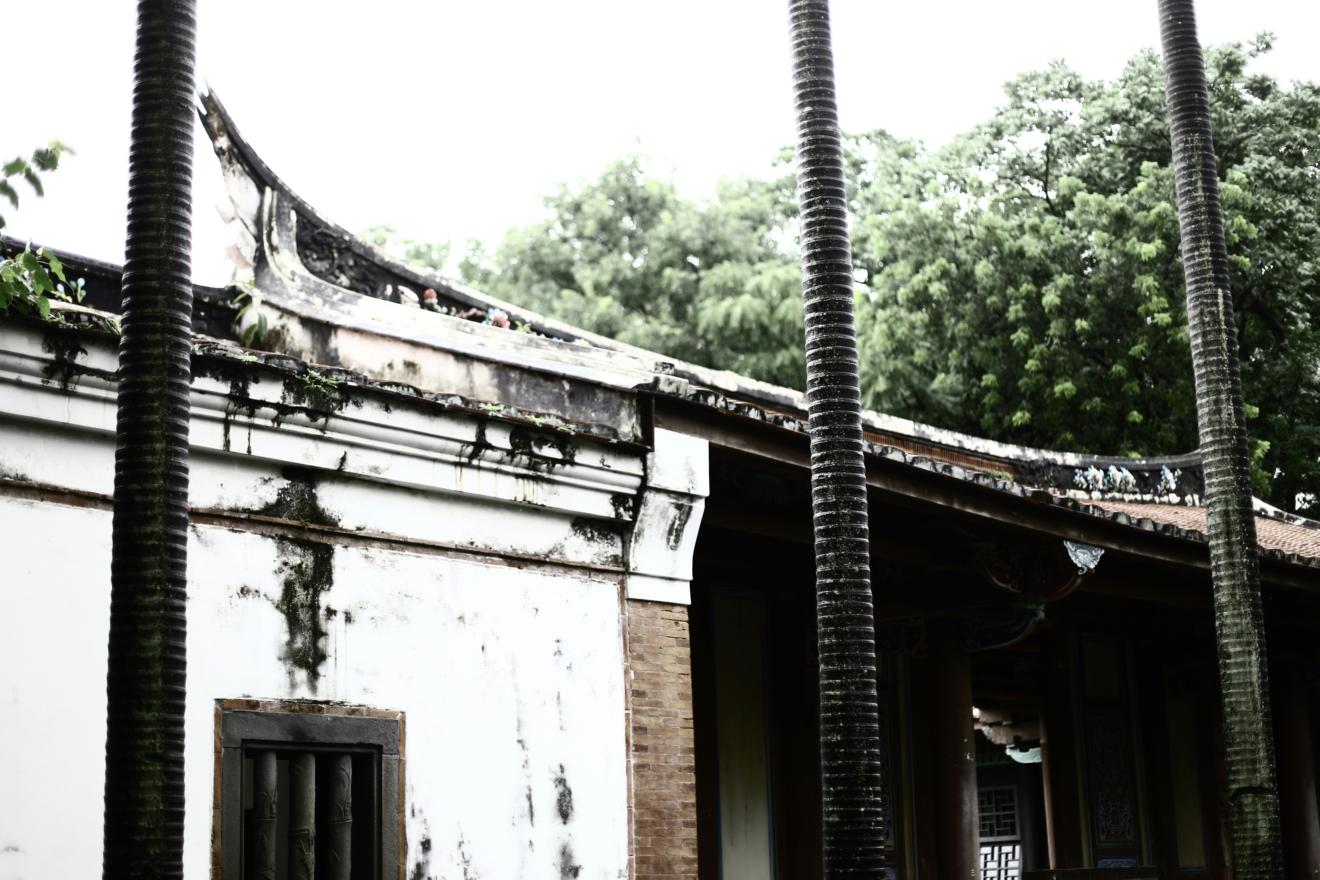 Photo by mclee