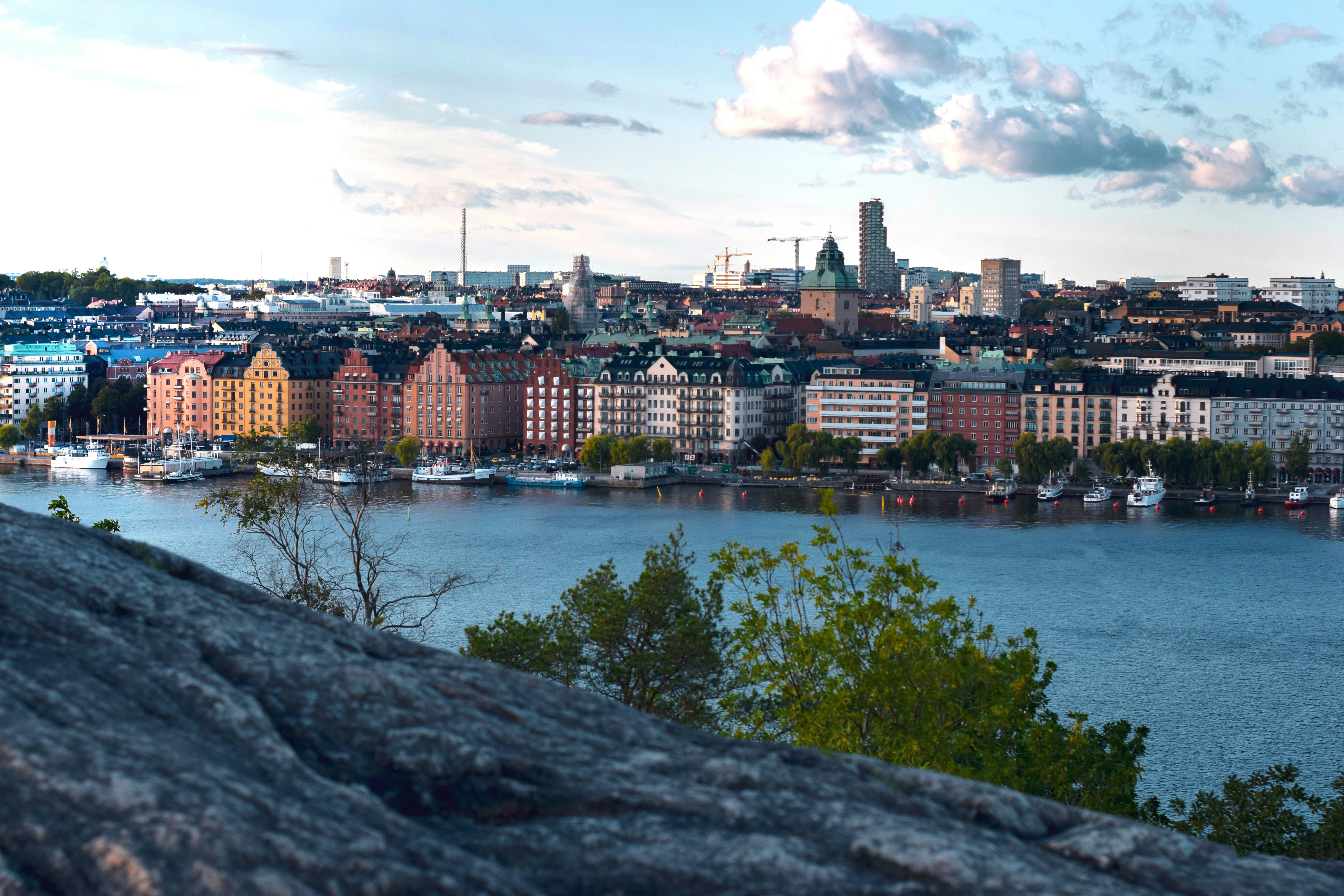 Image by Diana Visan via Unsplash