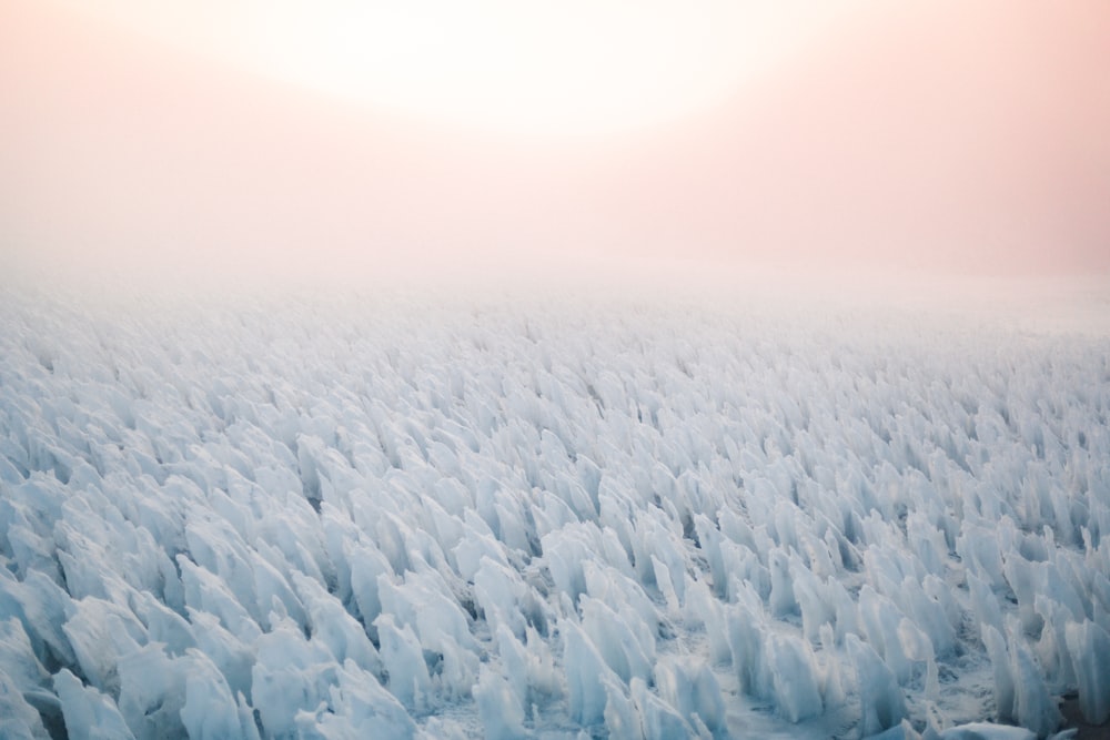 a large group of ice floes floating in the air