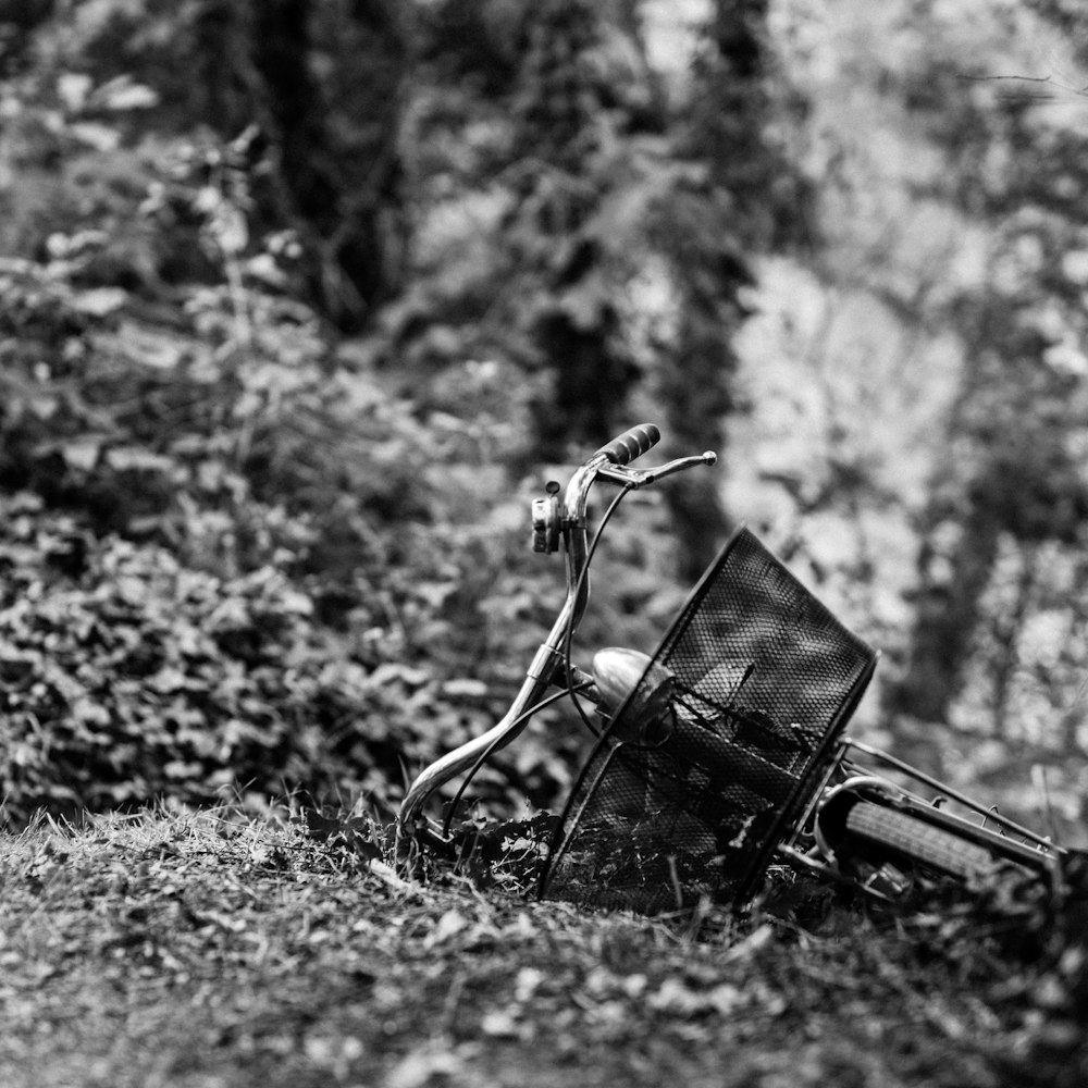 grayscale photography of bicycle on hill