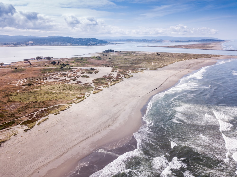 seashore during daytime