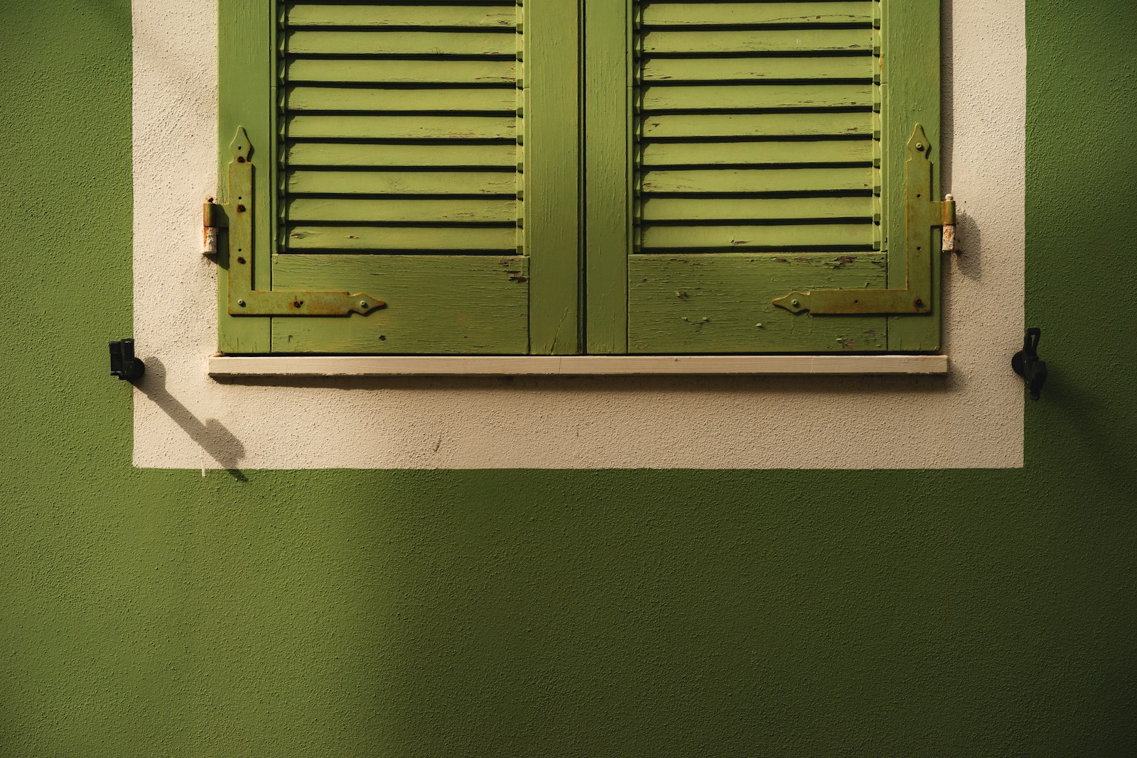 Sony a7R + Sony Sonnar T* FE 55mm F1.8 ZA sample photo. Closed green wooden door photography