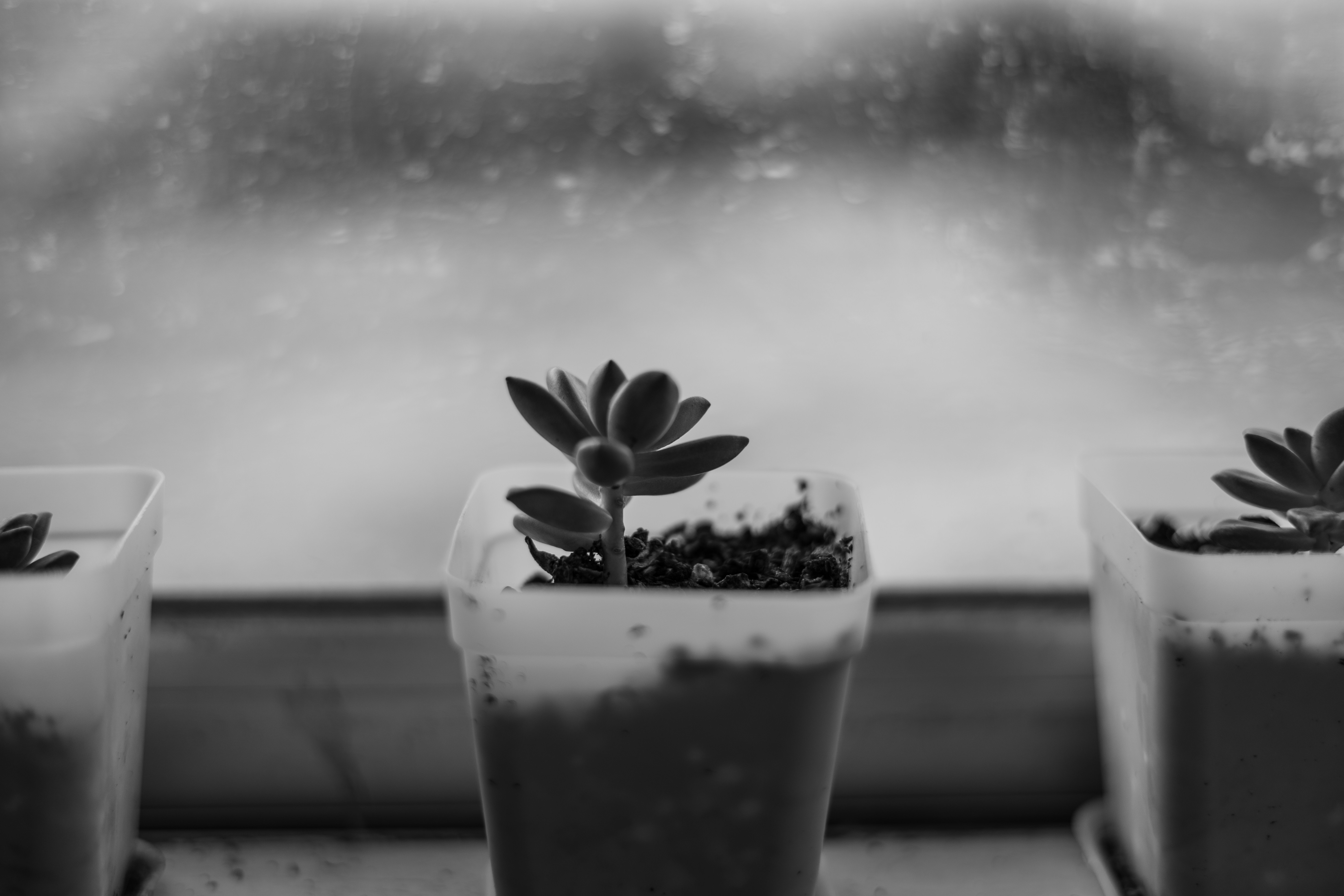 Photo by g1396656