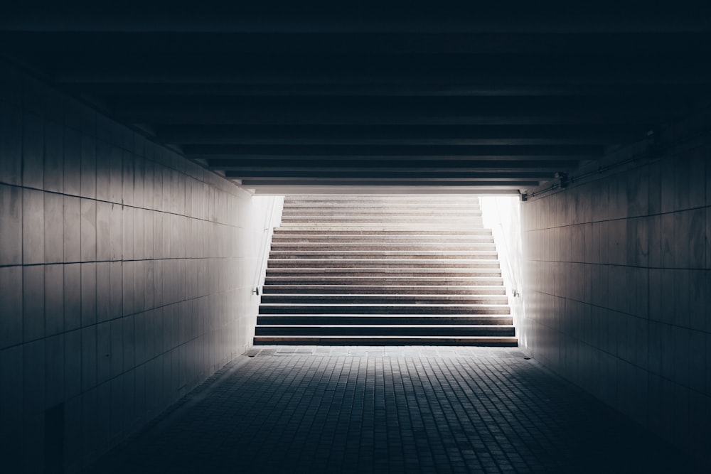 silhouette photo of stairs