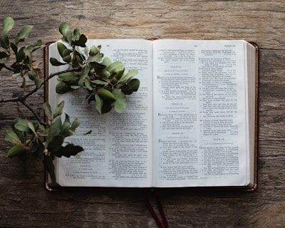 An open book displaying a passage from the Bible with a branch of green leaves and acorns resting on it. The book is placed on a rustic wooden surface, and the pages are gently curving under the branch's weight.