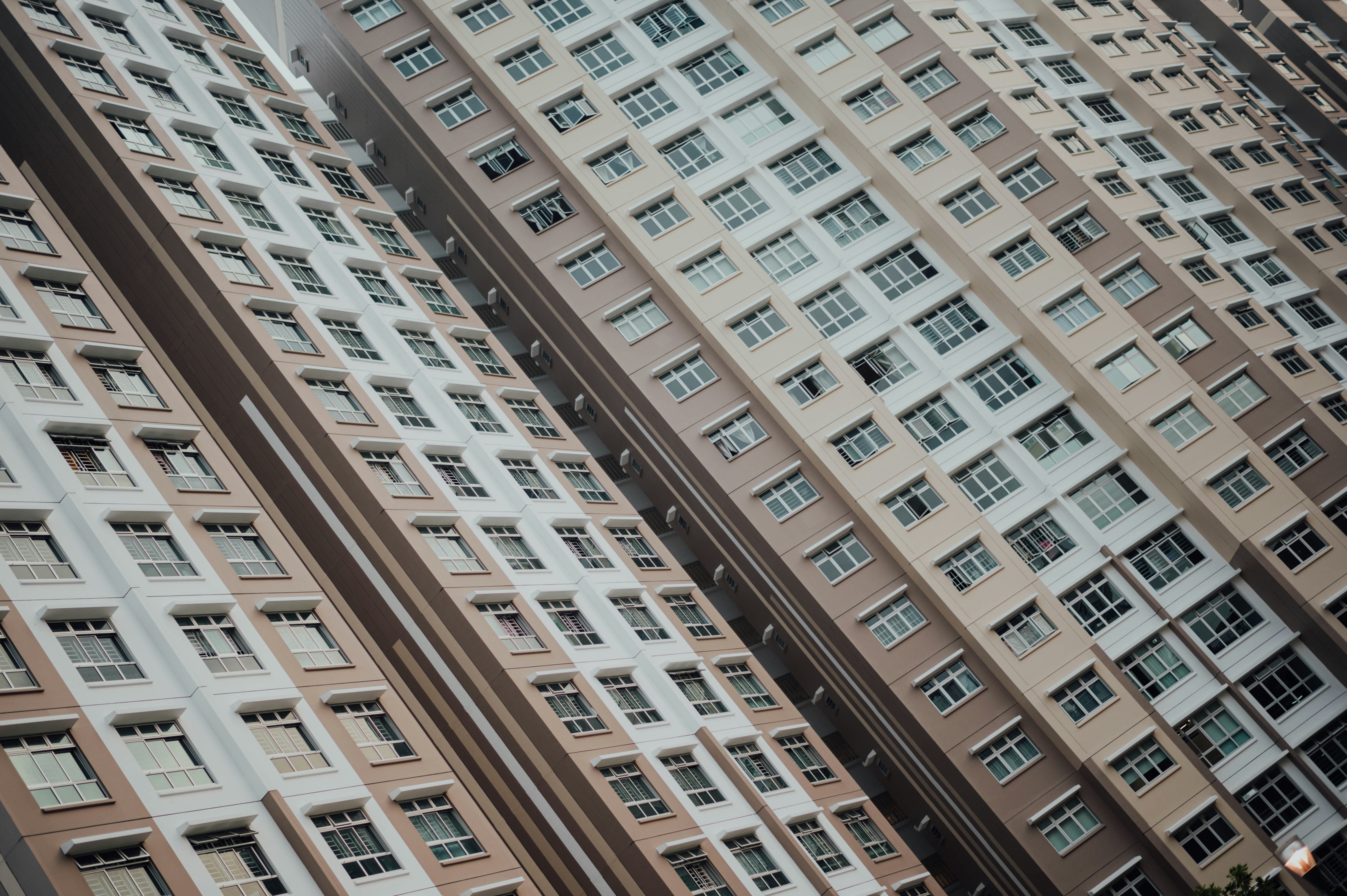 Photo by chuttersnap