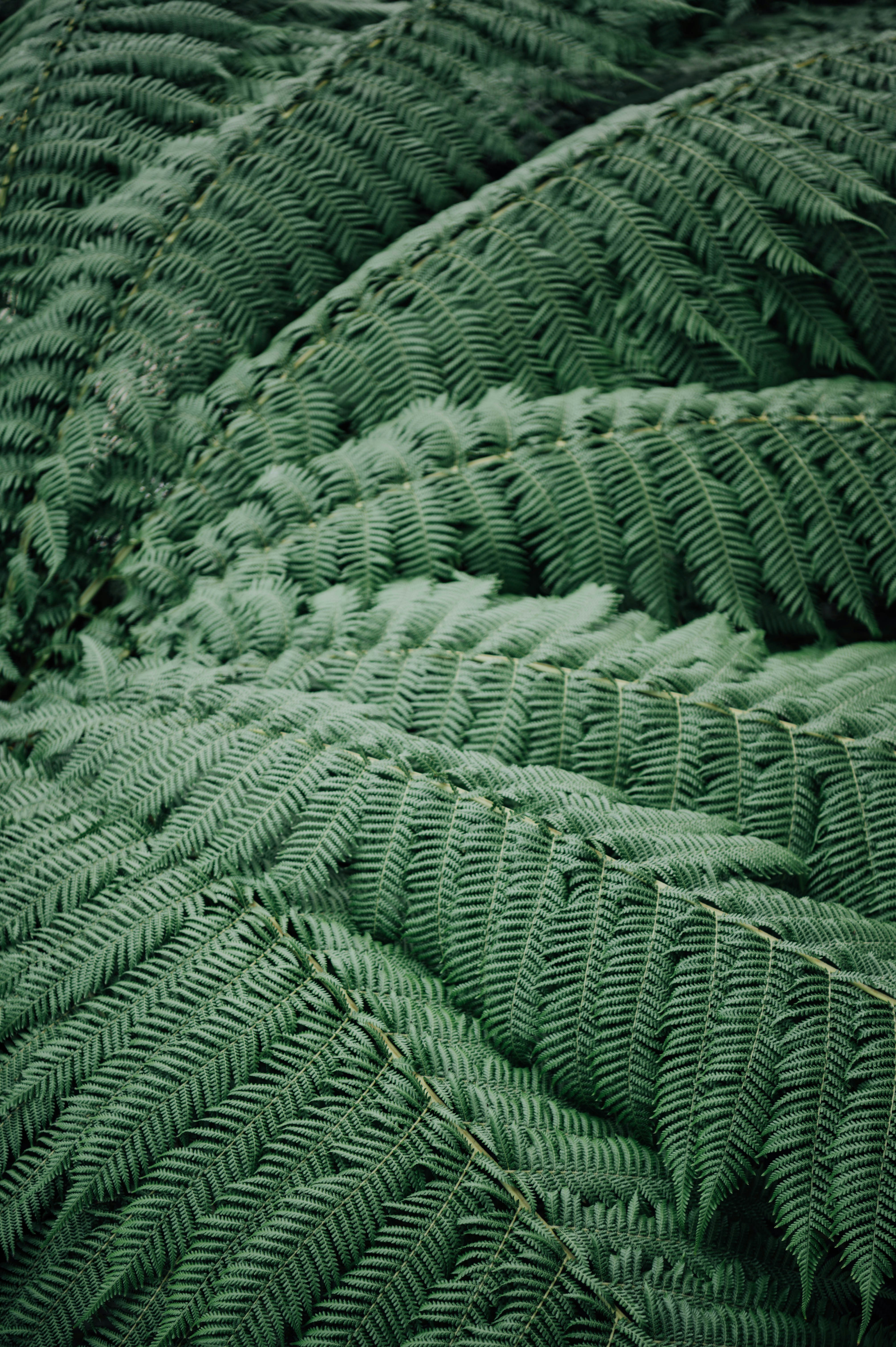 Photo by chuttersnap