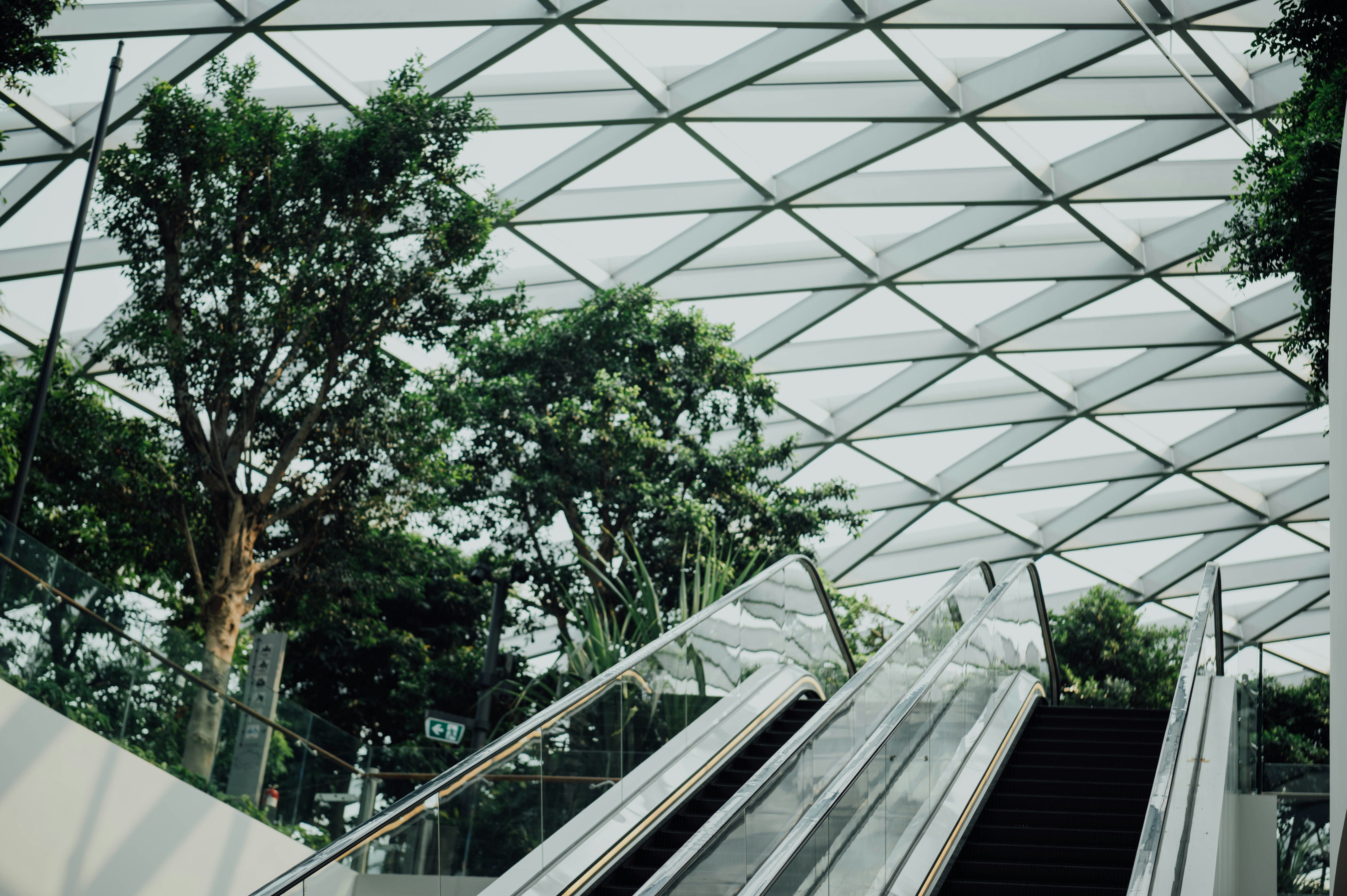 Photo by chuttersnap