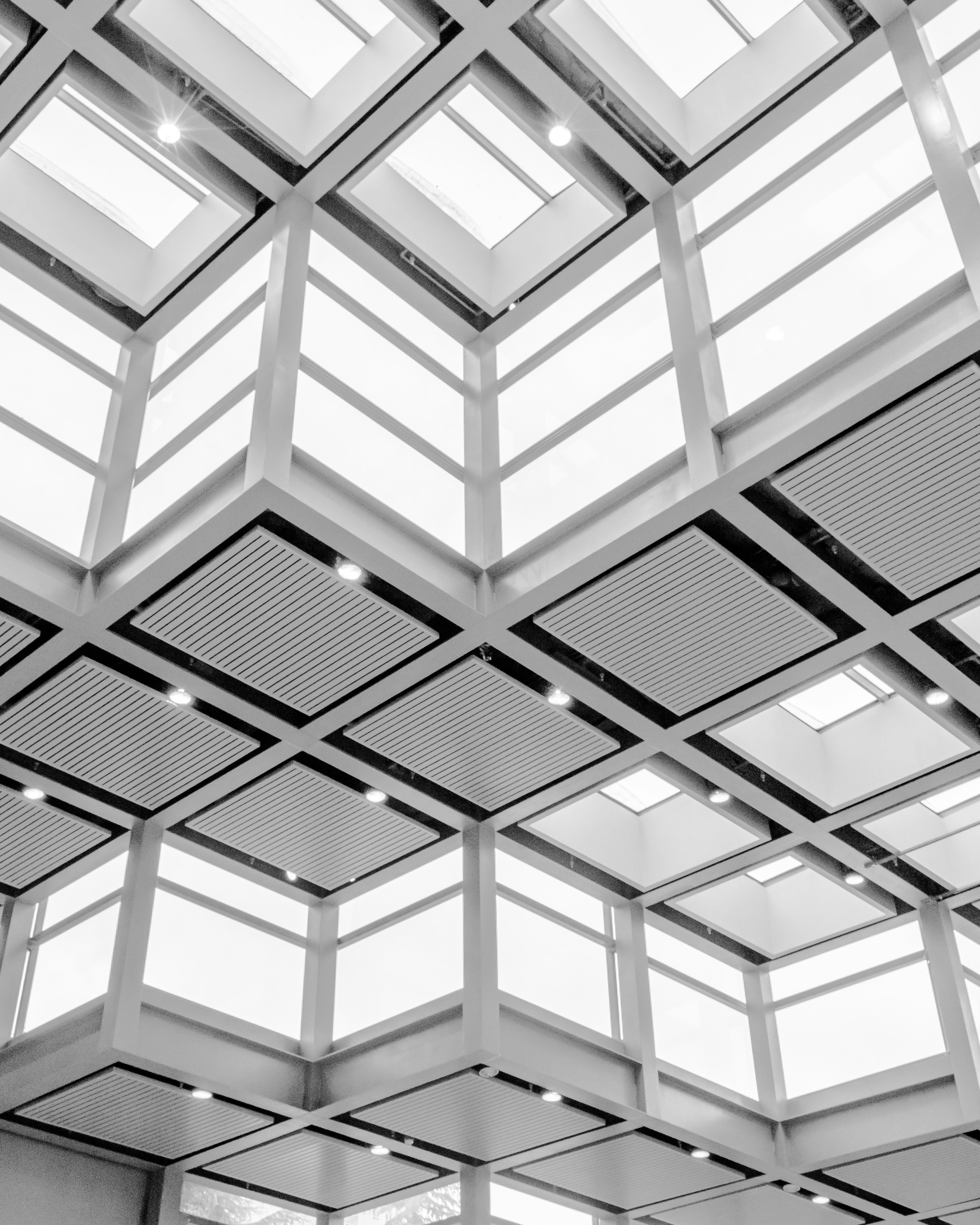 Photo by shunyakoide