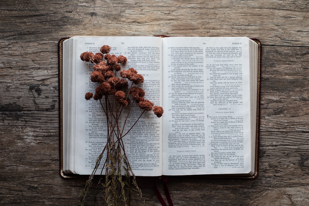 brown flower and book