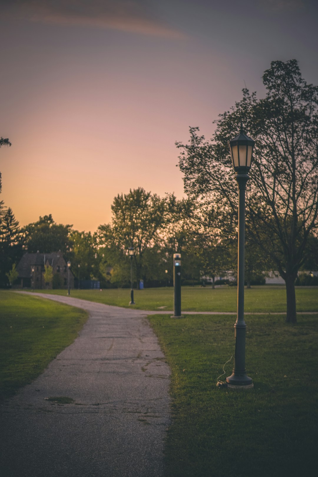 walkway surrounded by trees