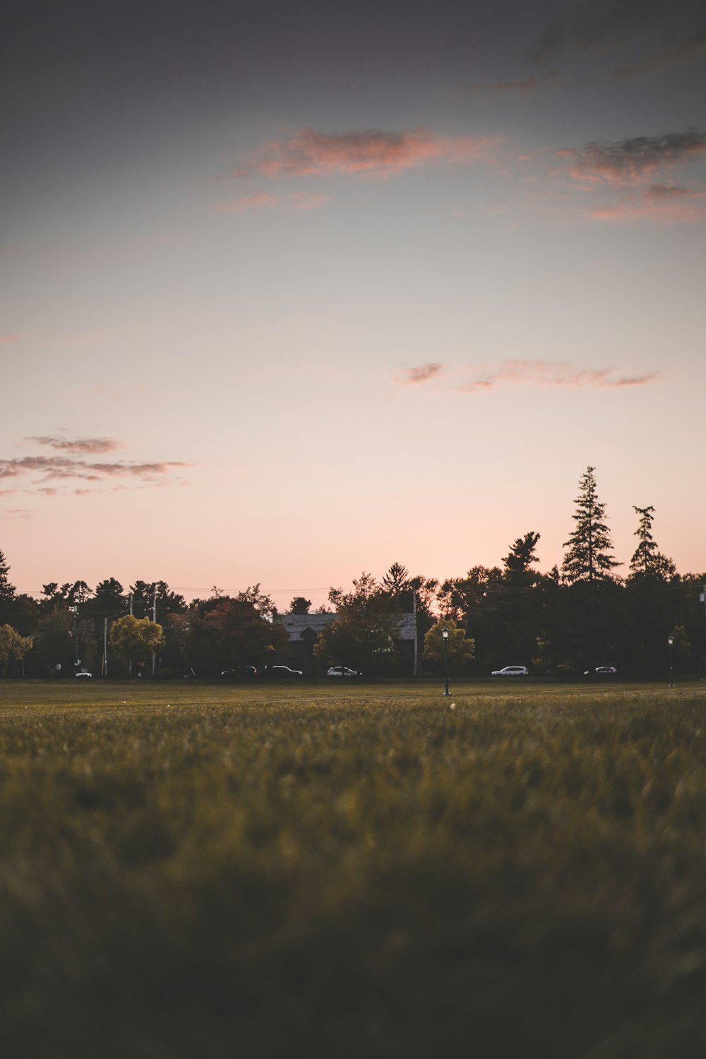 grass field