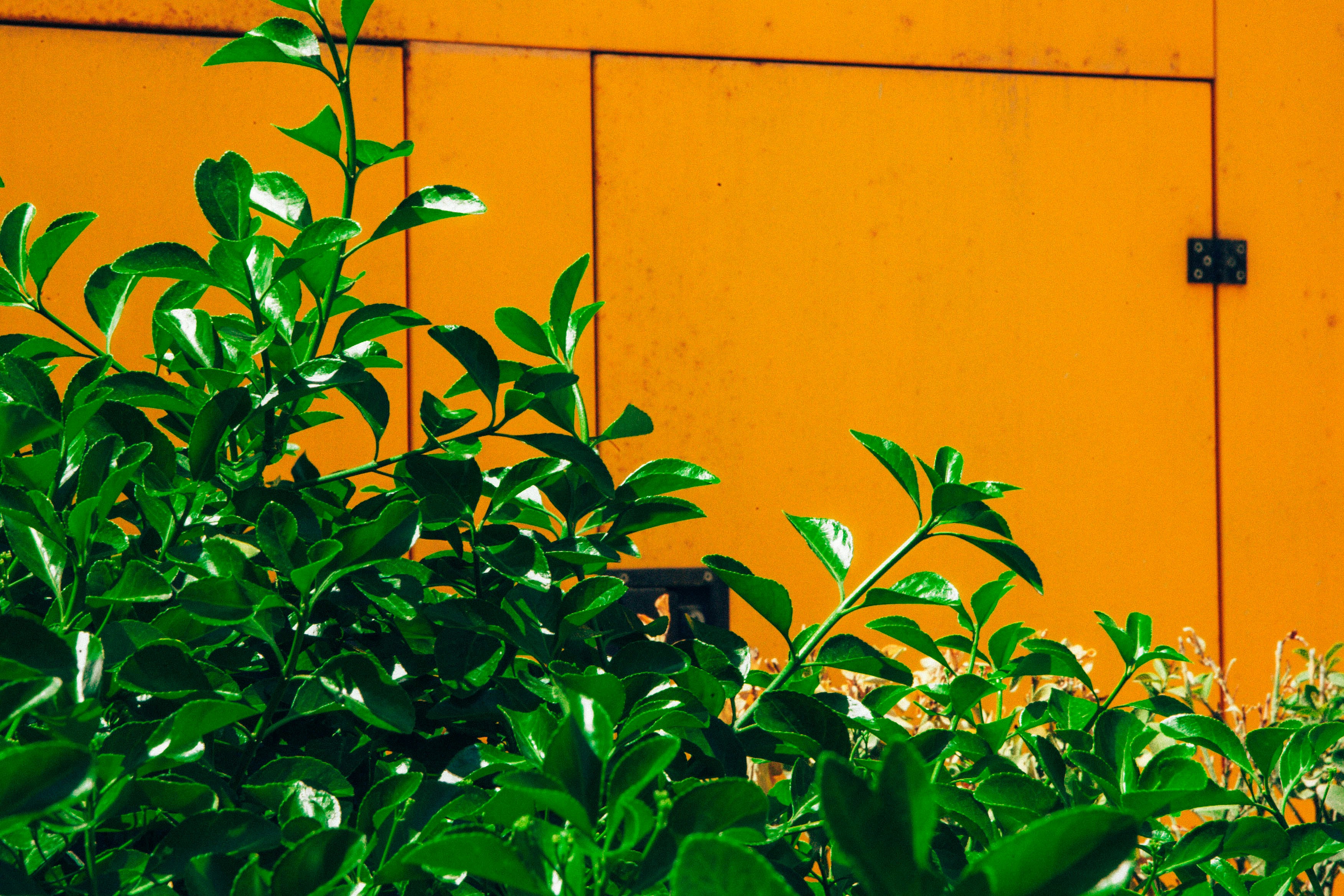 Photo by m0ther_0f_memes