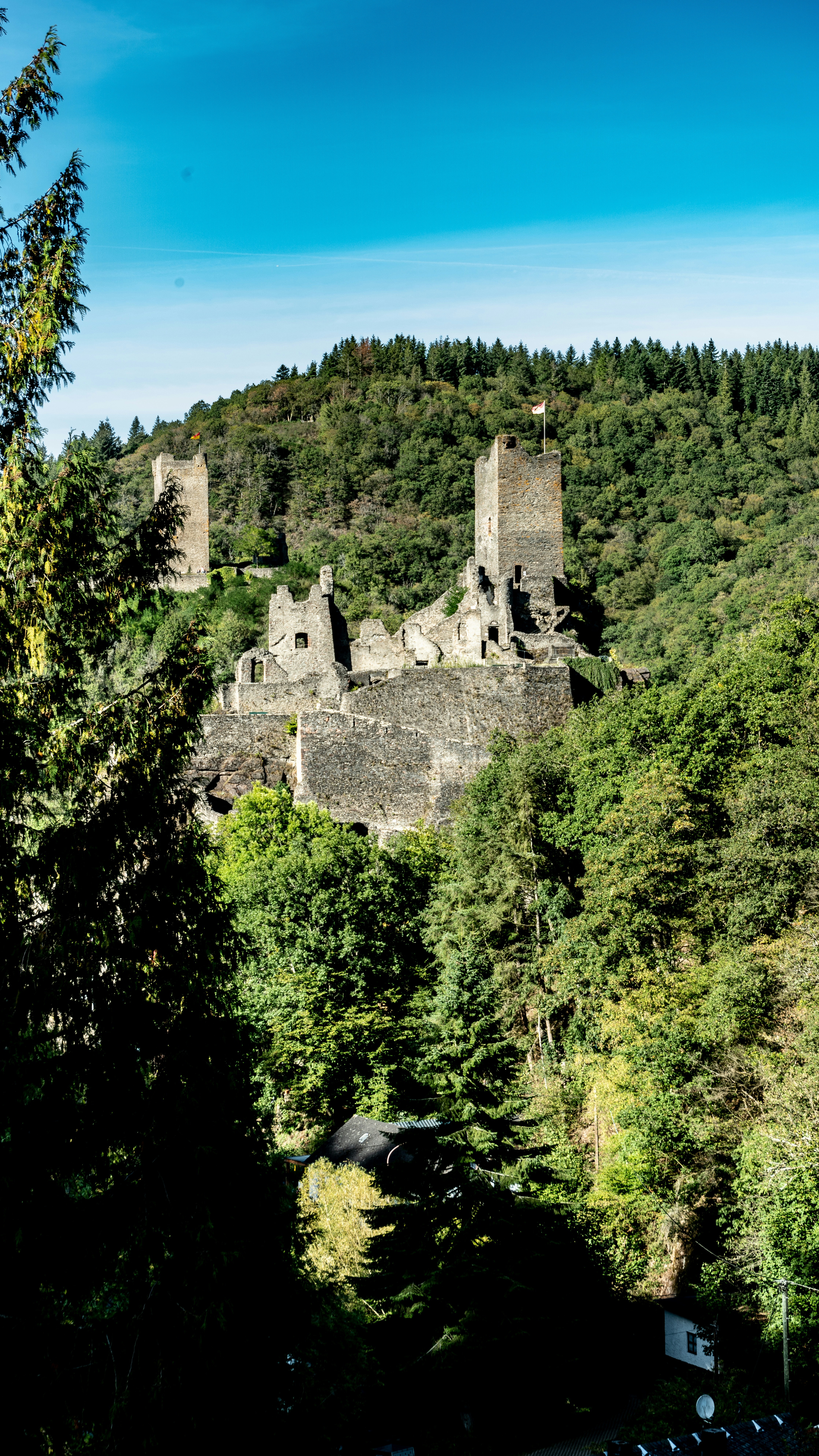 Photo by weird_flex_but_alright