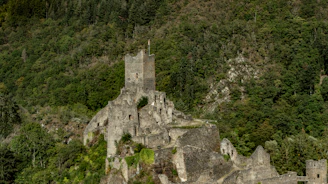 An ancient castle ruin surrounded by lush greenery in Albania.