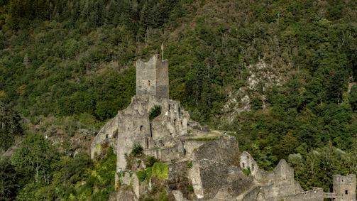 An ancient castle ruin surrounded by lush greenery in Albania.