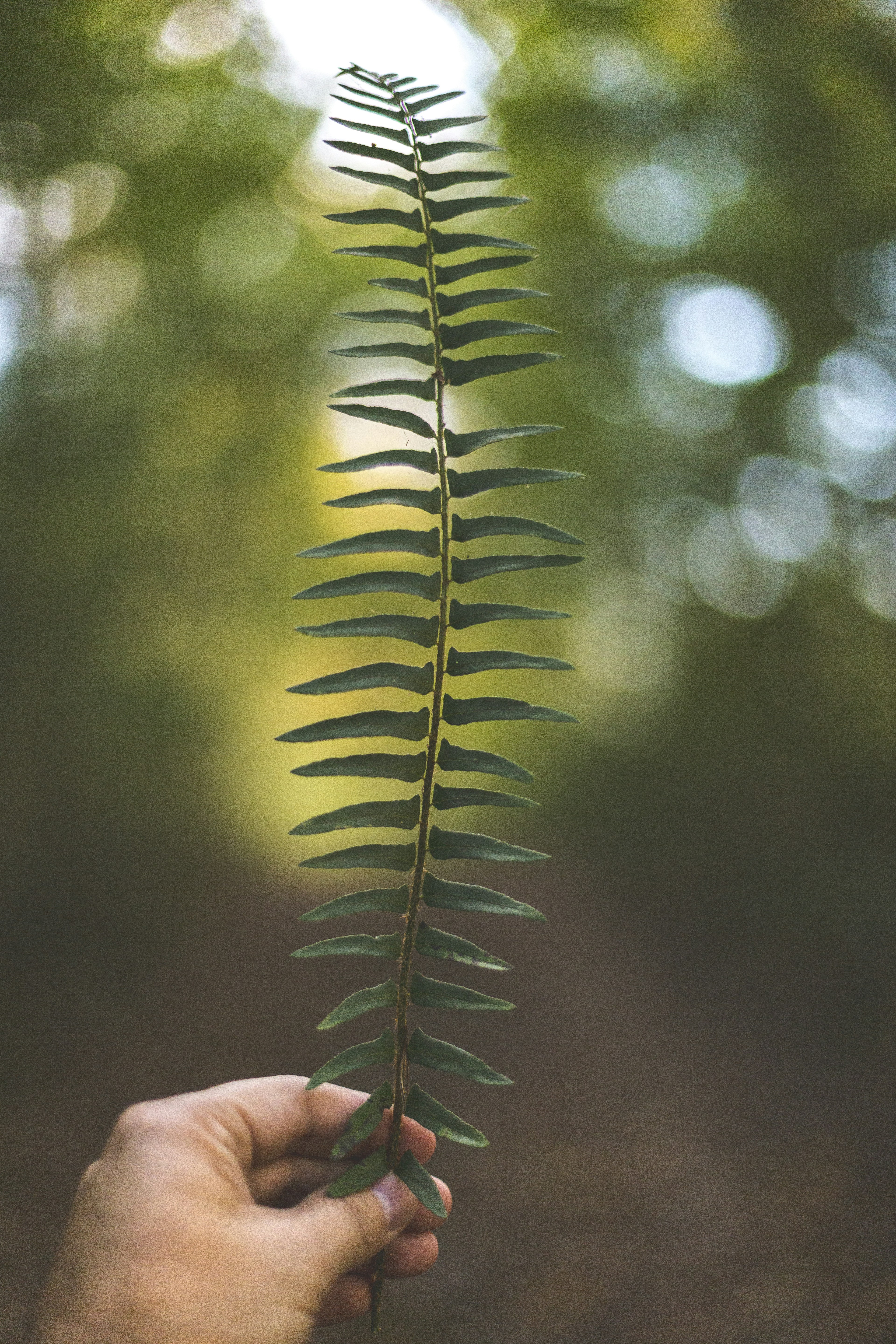 Photo by dbeamer_jpg