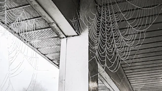 Spider webs being carefully removed from a porch ceiling by a technician in safety gear.