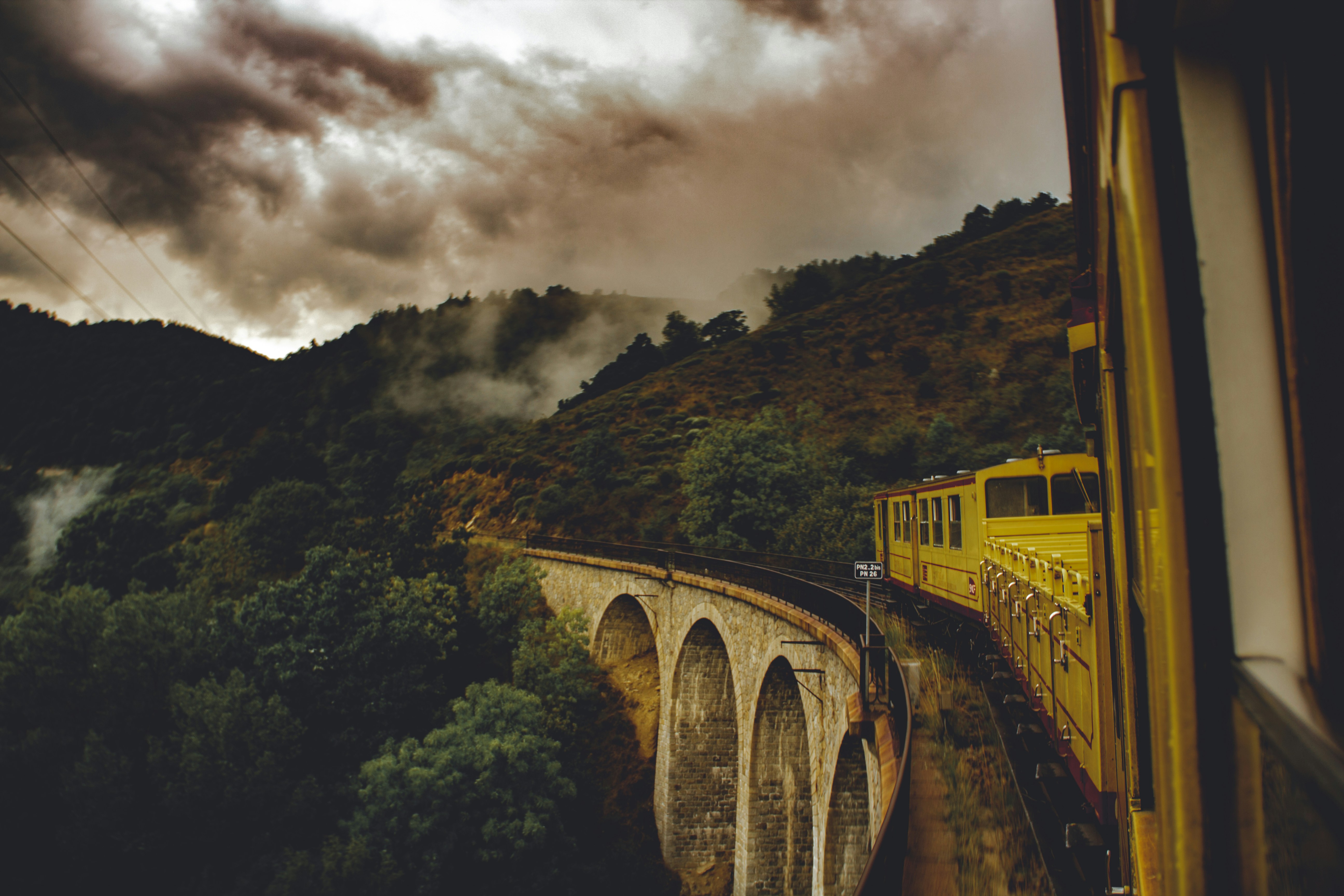 green trees carols teams background