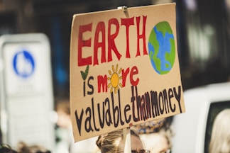 Earth is more valuable than money signage