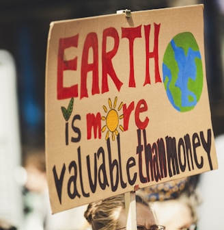 Earth is more valuable than money signage