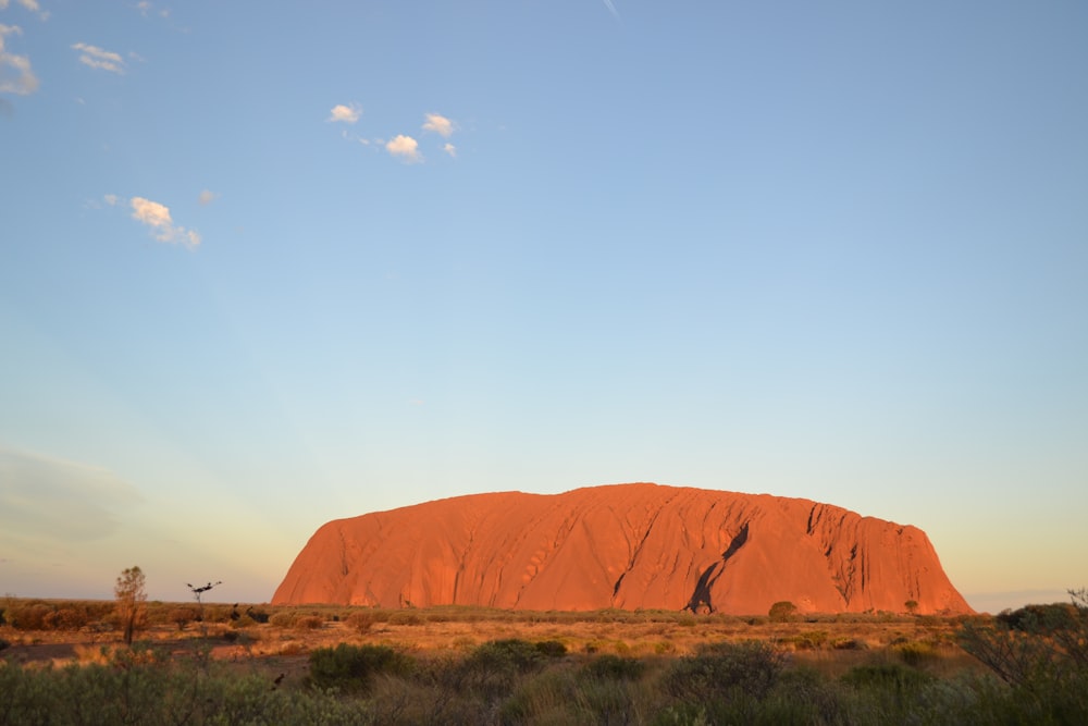 brown flat-top mountain under clear blue sky