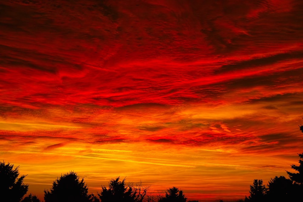 a red and yellow sky with clouds and trees