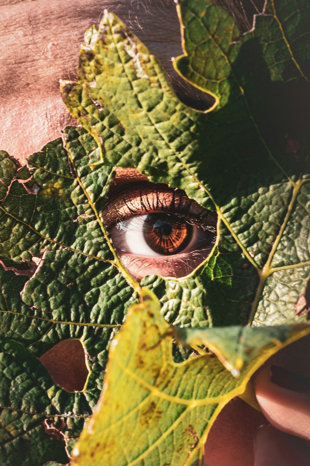 사람 눈 뒤의 녹색 잎