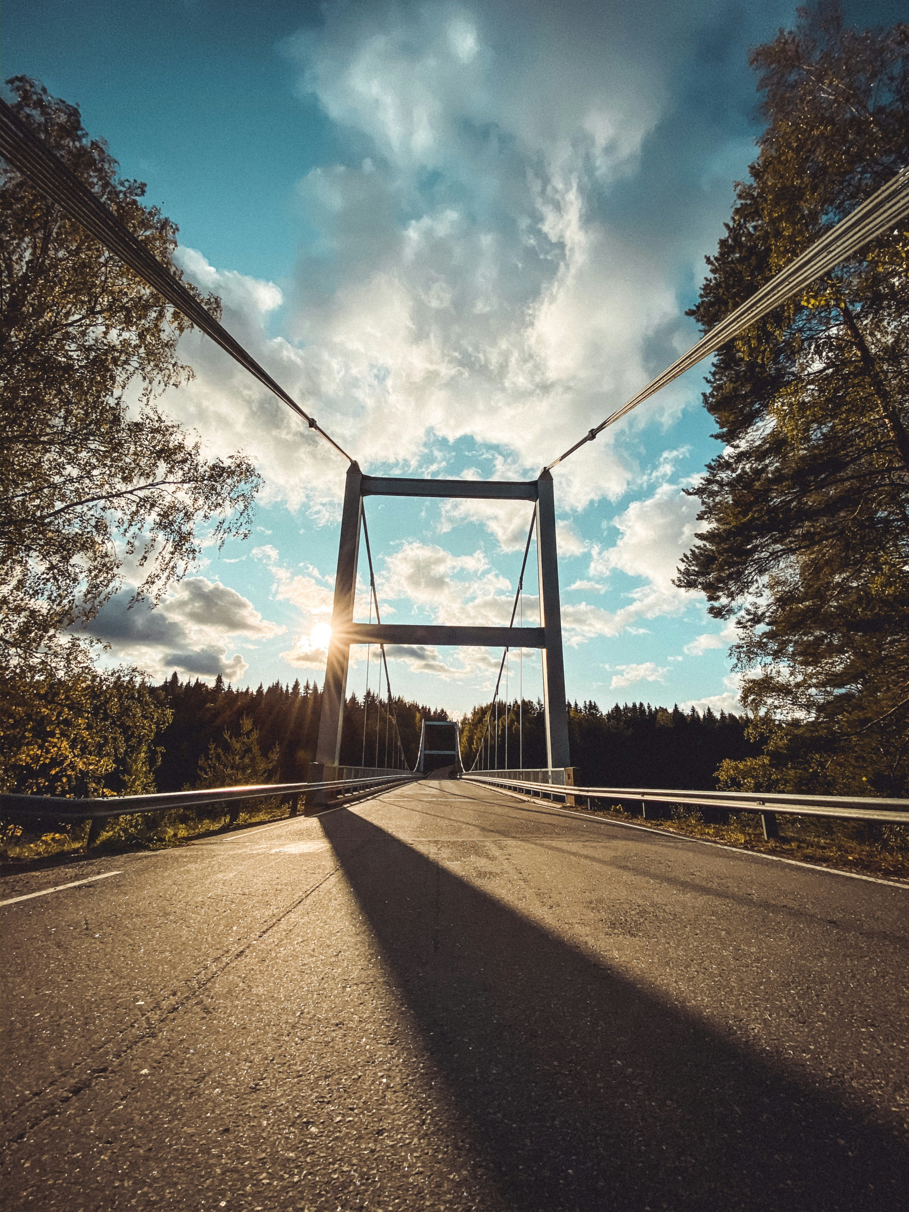 曇り空の下、橋のそばの木々