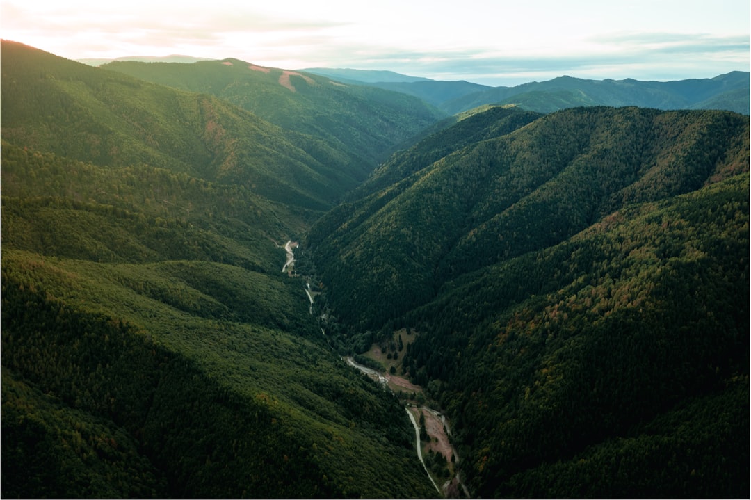 Hill station photo spot Piatra Craiului Vidraru Dam