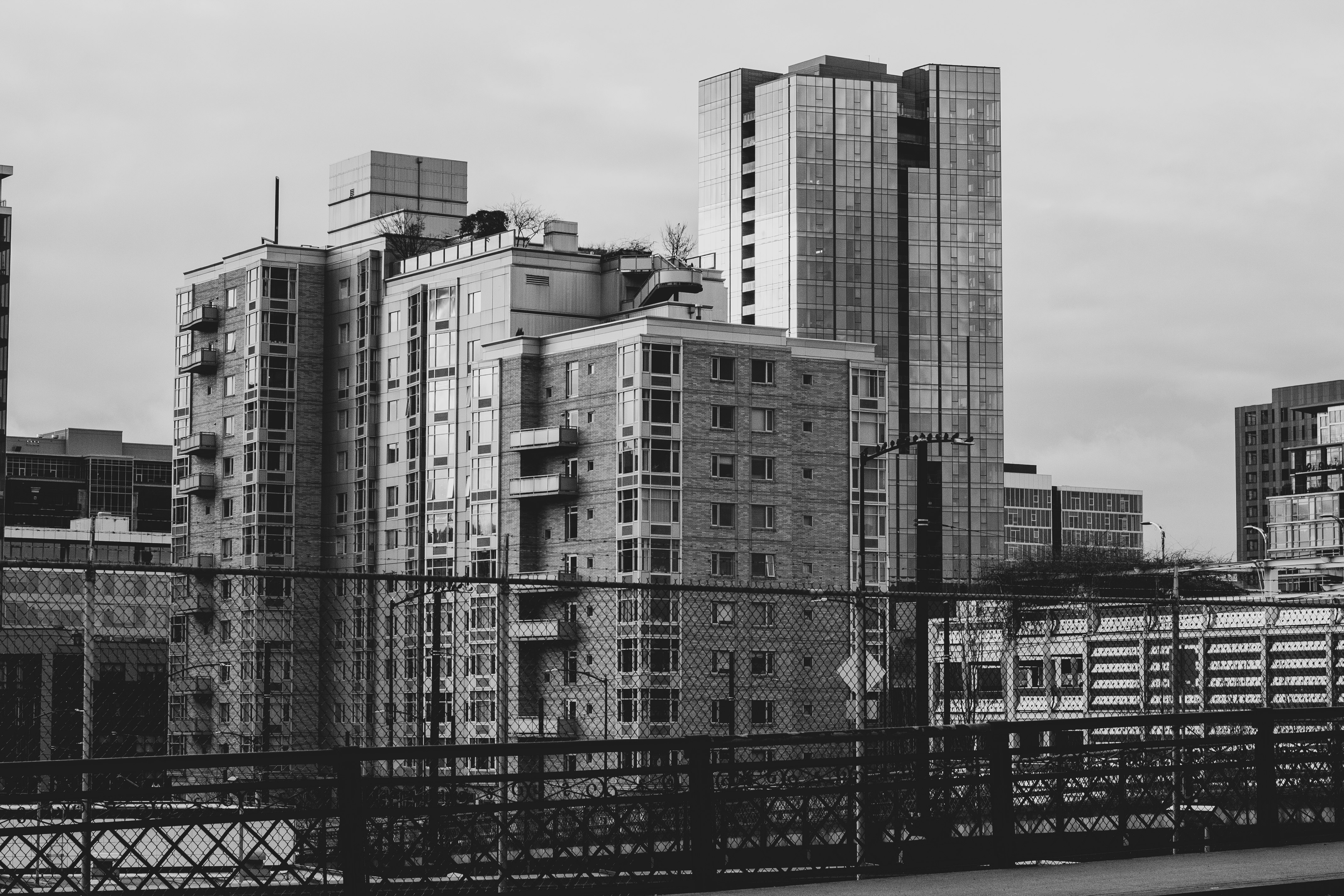 grayscale photography of high rise buildings near fence