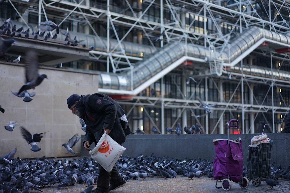 man holding white sack feeding flocks of pigeon beside Library during daytime