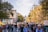 A large group of people are walking down a tree-lined city street, participating in a protest or demonstration. Some hold banners and signs, and there is a sense of movement and engagement among the diverse crowd. City buildings and construction cranes are visible in the background, suggesting an urban setting.