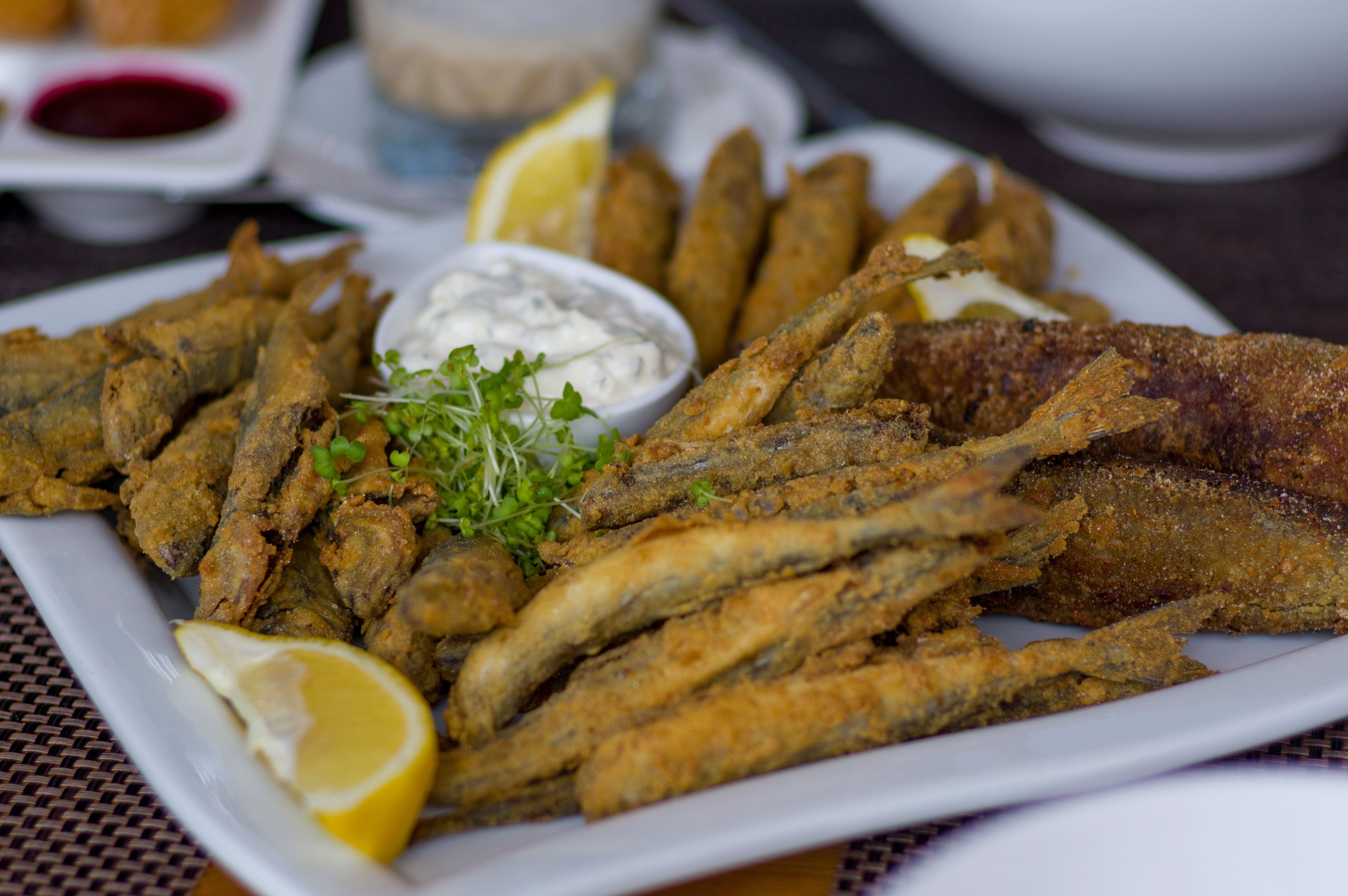 Traditional Albanian Seafood Dish