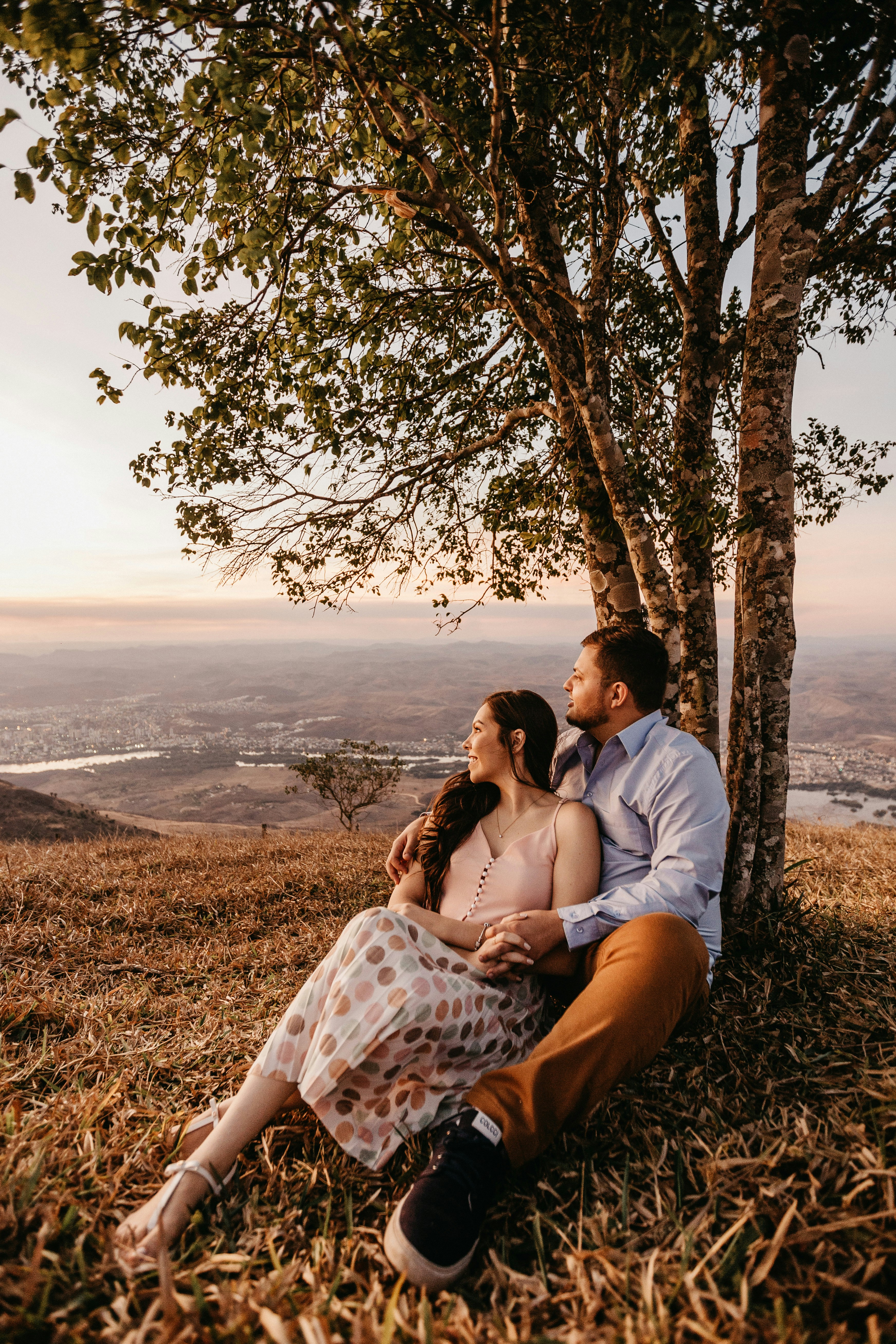 Choose from a curated selection of tree photos. Always free on Unsplash.