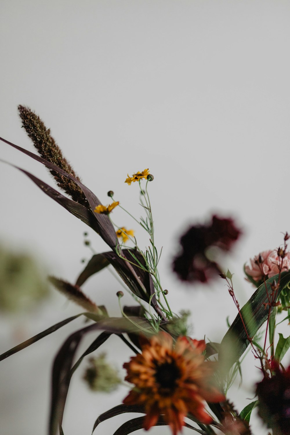 yellow petaled flowers