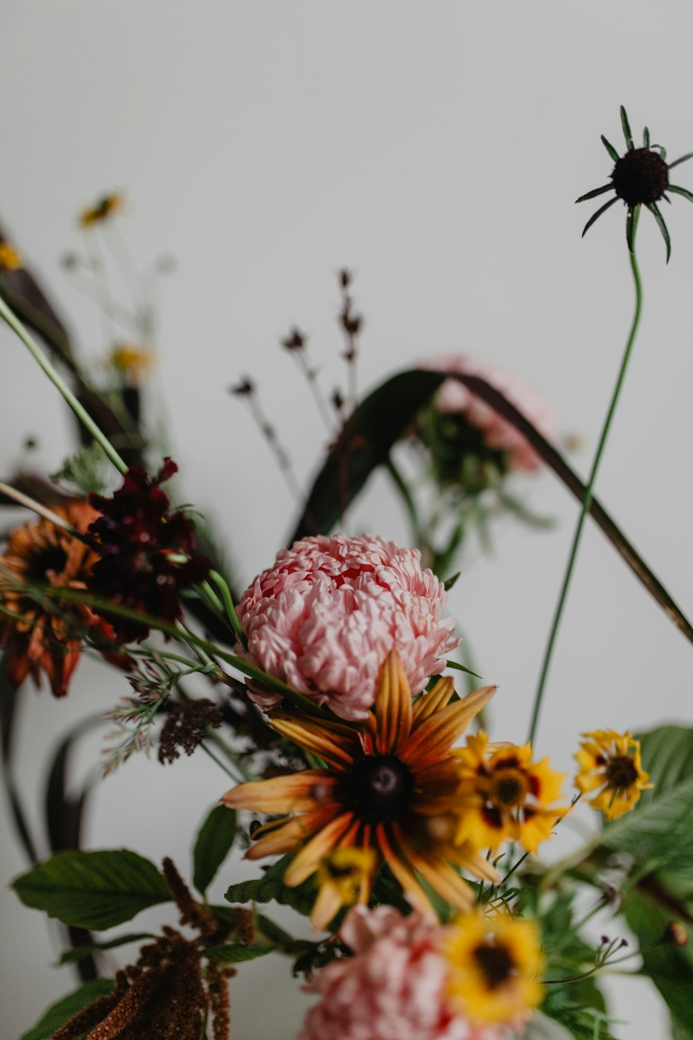 focus photography of yellow petaled flower