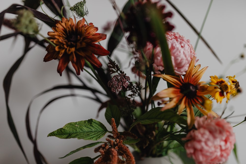 red and yellow flowers