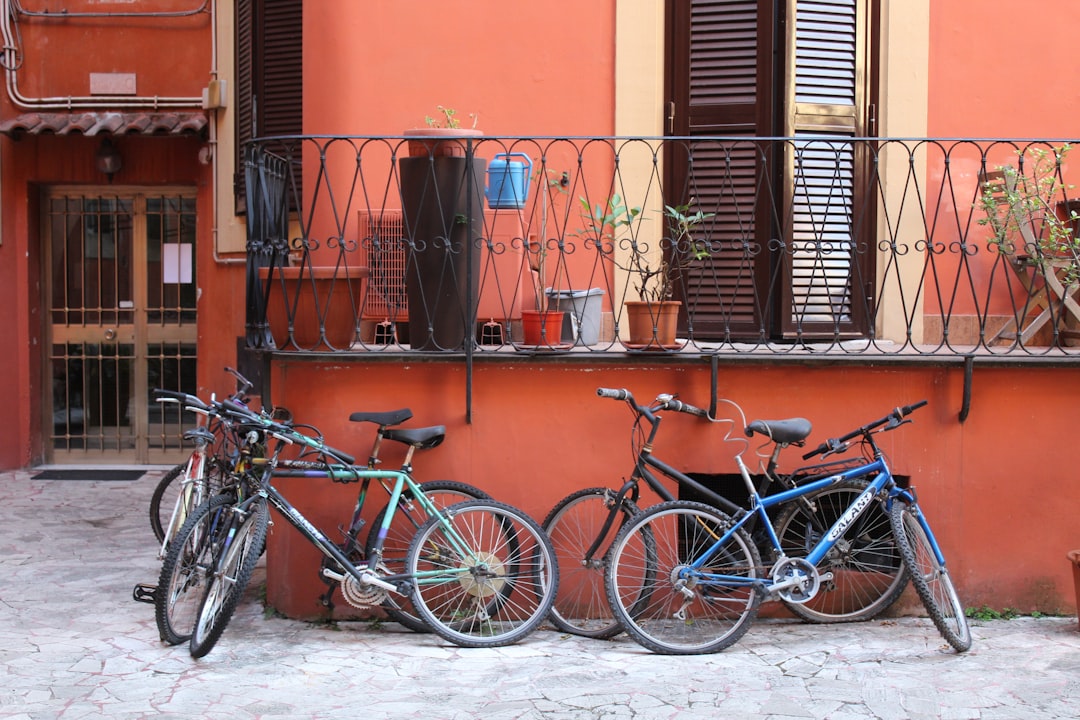 assorted-colro bicycles