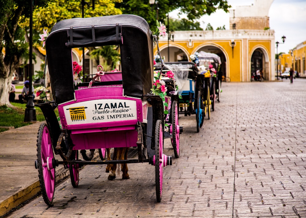 horse carriages on road side near park