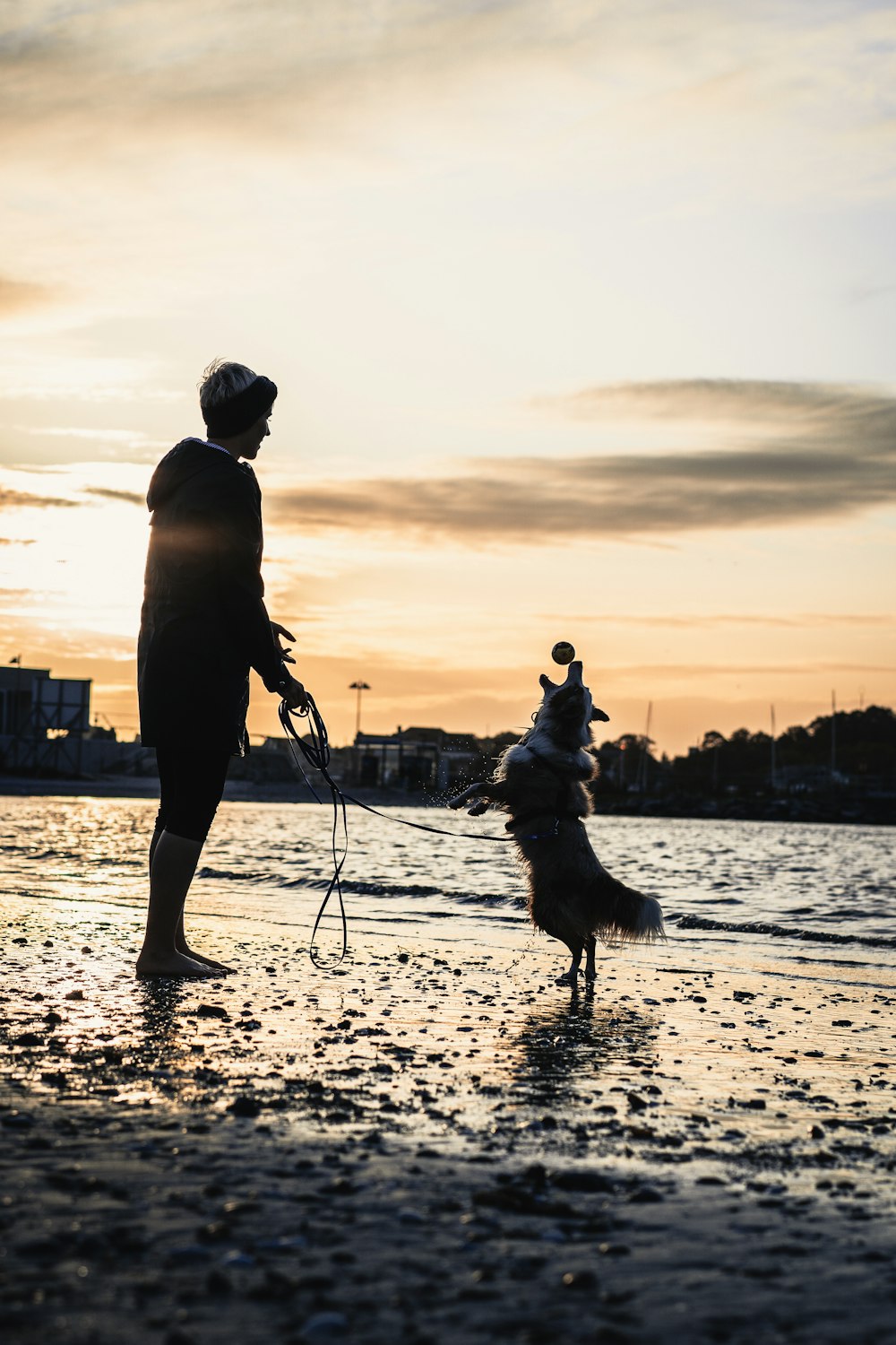 Person und Hund spielen am Ufer