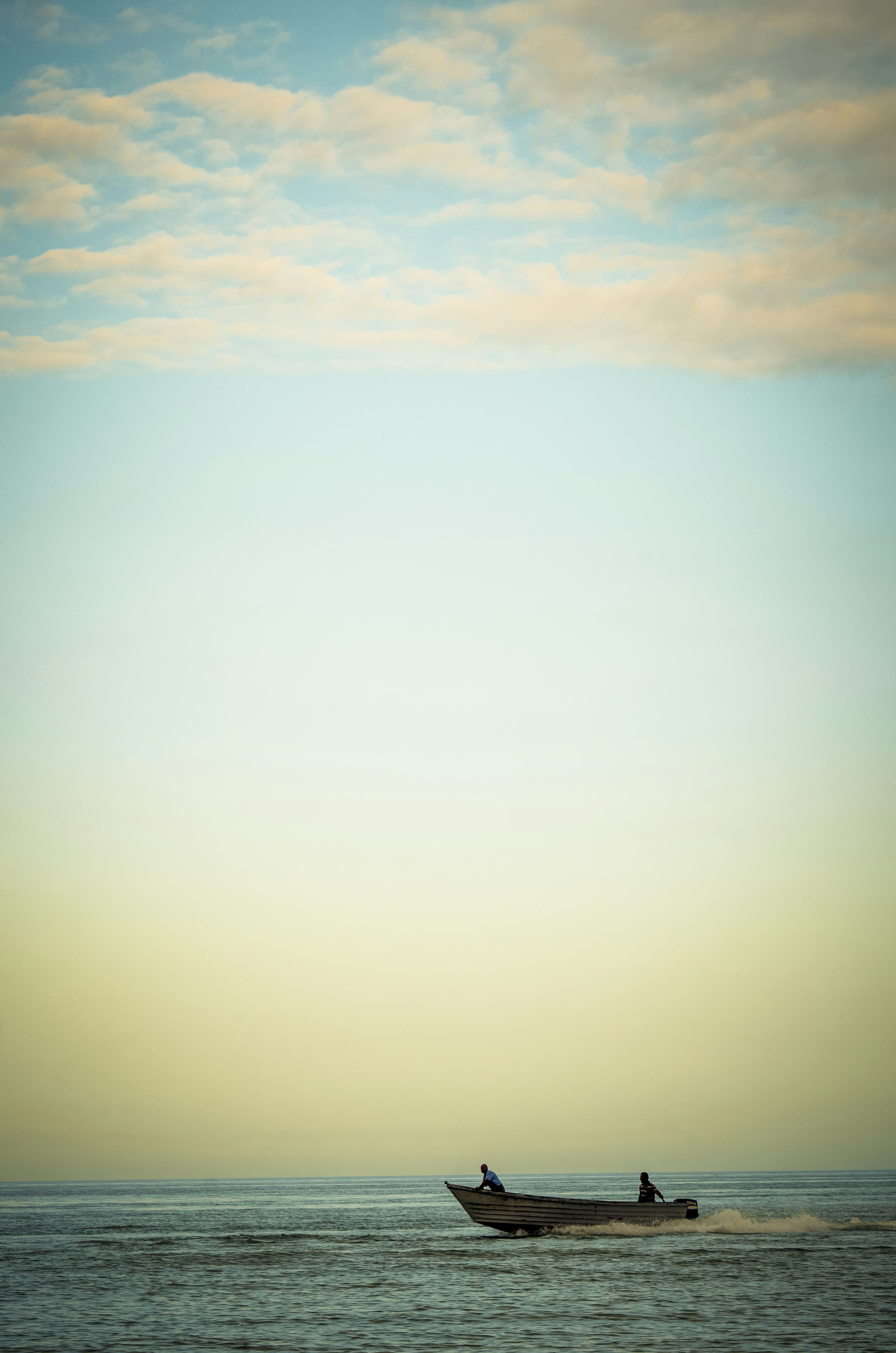 Photo by ahmadreza7shot